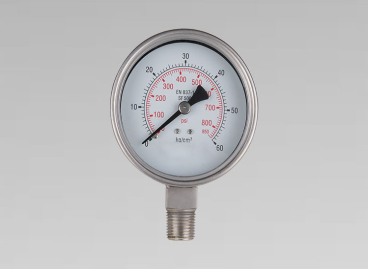 全不锈钢压力表YNBF100 0-6MPA